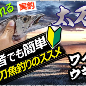 ワインド 釣り場嵐ｘtakabon Ch 和歌山 釣り